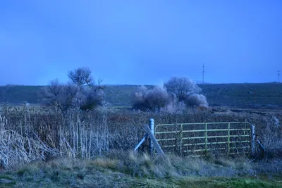 DSC_1000 (Large).JPG